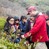 One of many class visits to Ano Nuevo Reserve